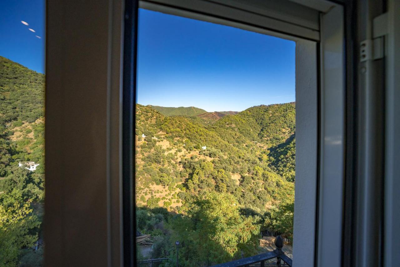 Appartement Calle Cruz *