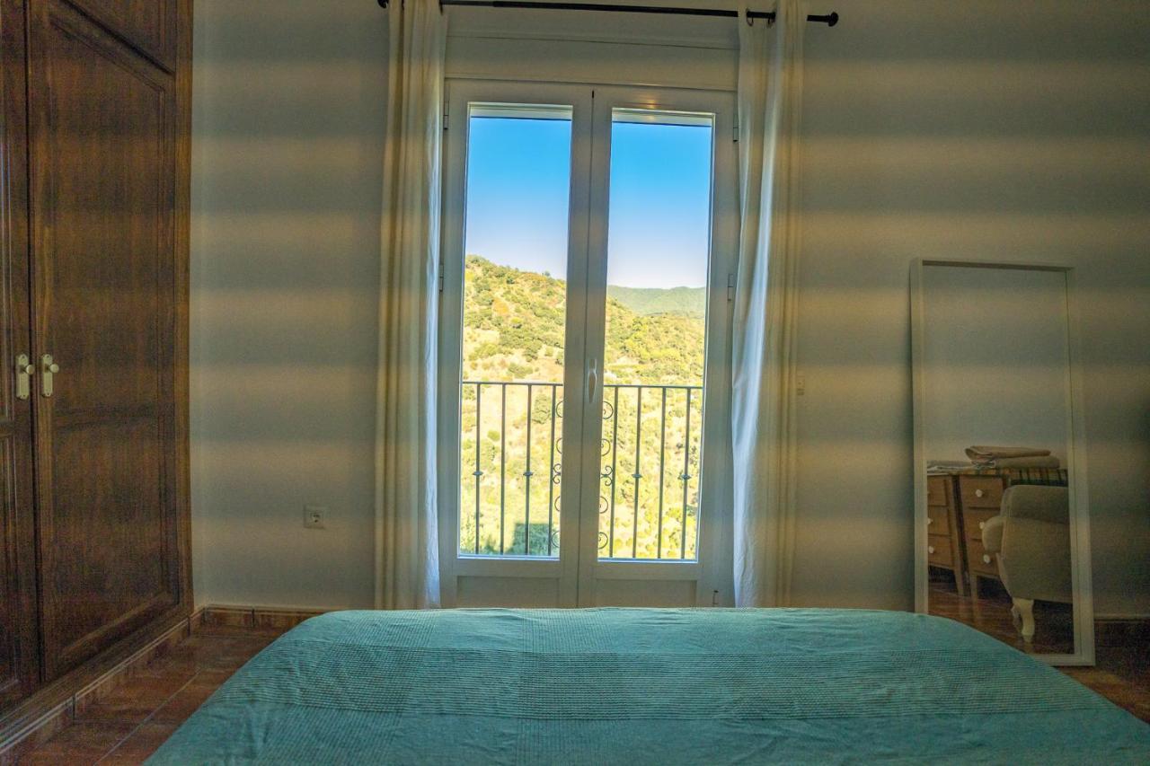 Appartement Calle Cruz *